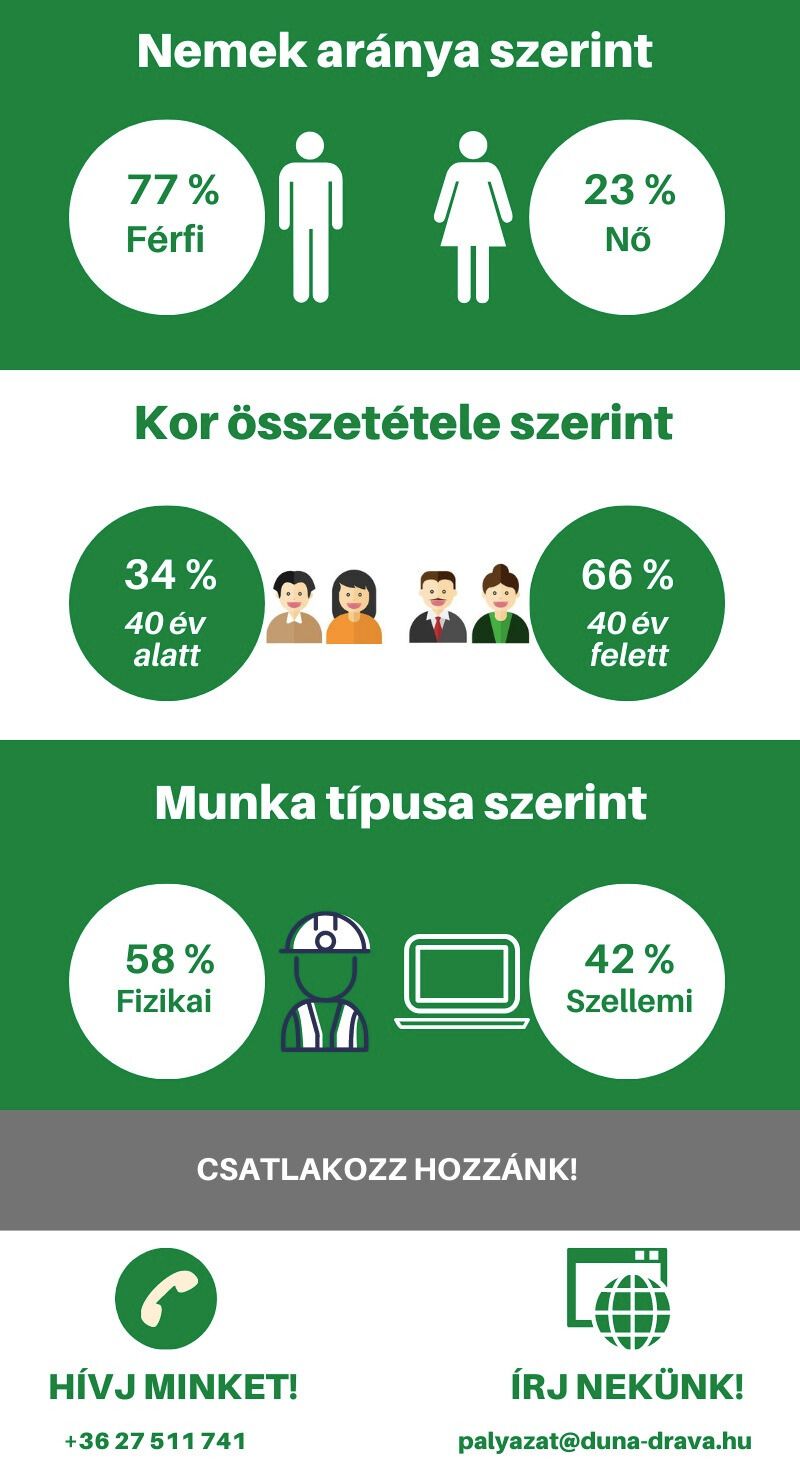DDC munkavállalók összetétele