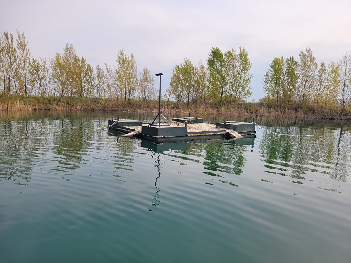 Szárföldi Kavicsbánya úszósziget