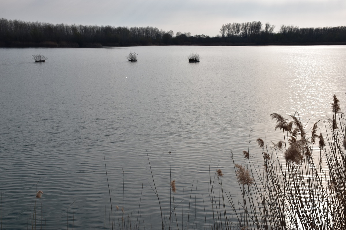 Úszószigetek az Ócsai Kavicsbányában