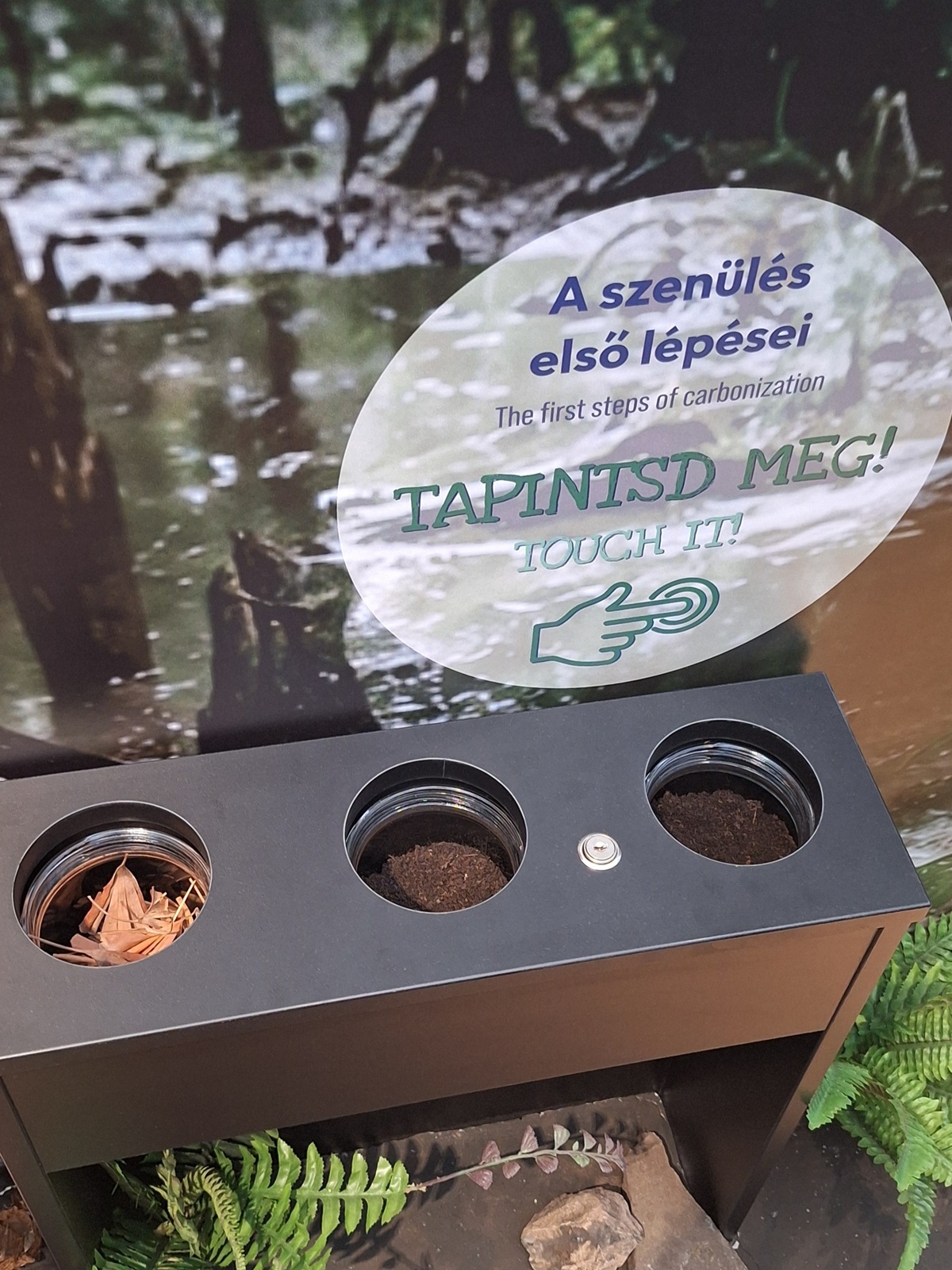 Komlóverzum - Évmilliók ösvényén