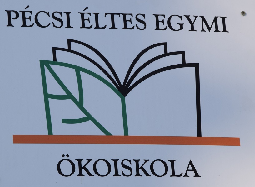 A DDC 2011 őszén indította útjára a Zöld Megoldás-pályázatot azzal a céllal, hogy forrást biztosítson a helyi közösségek önszerveződő kezdeményezései számára környezetük zöldebbé tételéhez és a helyi infrastruktúrák környezettudatosabb hasznosításához, valamint a természeti környezet megismerésének elősegítéséhez.