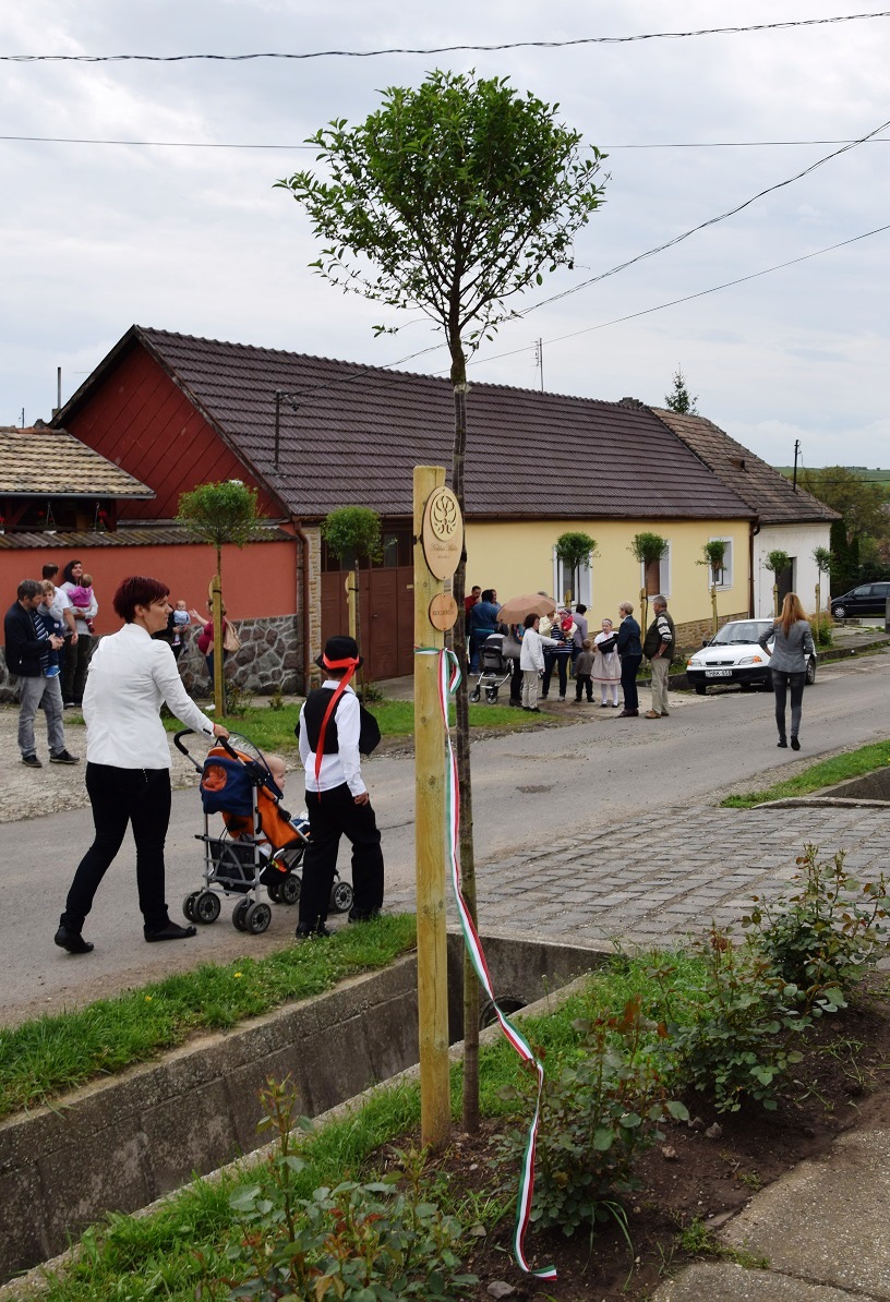 A szokolyai „Életfa program” célja a gyermekek környezettudatosságra nevelése, ezáltal a természeti értékek megismertetése és megőrzése, valamint a közös munka értékeinek megteremtése. A projekt megvalósulásához 1 millió forint támogatással járul hozzá a DDC.